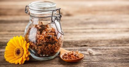 Что такое прополис и как он действует на наш организм?