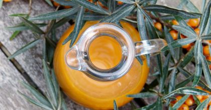 Облепиха – обычная ягода или источник полезных свойств?